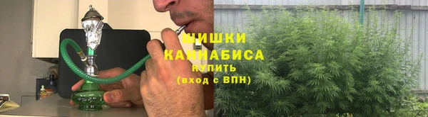 МДПВ Волоколамск