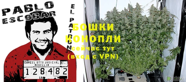 мдпв Володарск